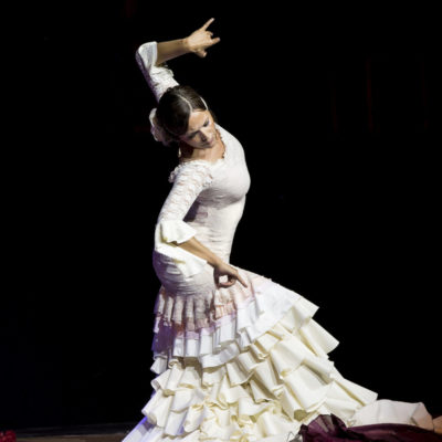 Flamenco Show Solotanz